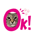 はるちゃんビジネスversion（個別スタンプ：15）