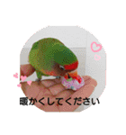 かわいんこ❤️lovebird❤️（個別スタンプ：5）