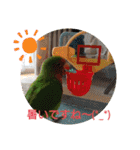 かわいんこ❤️lovebird❤️（個別スタンプ：7）