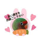 かわいんこ❤️lovebird❤️（個別スタンプ：12）