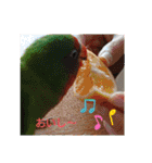 かわいんこ❤️lovebird❤️（個別スタンプ：20）