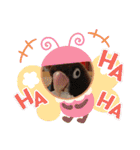 かわいんこ❤️lovebird❤️（個別スタンプ：23）