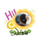 かわいんこ❤️lovebird❤️（個別スタンプ：25）