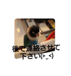 かわいんこ❤️lovebird❤️（個別スタンプ：29）