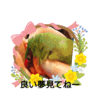 かわいんこ❤️lovebird❤️（個別スタンプ：33）