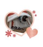 かわいんこ❤️lovebird❤️（個別スタンプ：34）