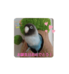 かわいんこ❤️lovebird❤️（個別スタンプ：36）