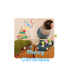 かわいんこ❤️lovebird❤️（個別スタンプ：37）