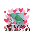 かわいんこ❤️lovebird❤️（個別スタンプ：40）