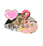 今ドキッズTVスタンプpremium（個別スタンプ：7）
