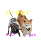 DLSの園児たち（個別スタンプ：1）