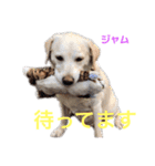 DLSの園児たち（個別スタンプ：3）