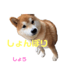 DLSの園児たち（個別スタンプ：8）
