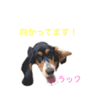DLSの園児たち（個別スタンプ：10）