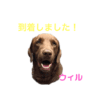 DLSの園児たち（個別スタンプ：11）