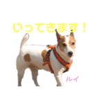 DLSの園児たち（個別スタンプ：12）