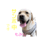 DLSの園児たち（個別スタンプ：17）