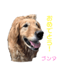 DLSの園児たち（個別スタンプ：23）