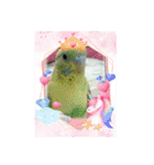 るぅこ王子可愛いファミリー（個別スタンプ：1）