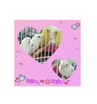 るぅこ王子可愛いファミリー（個別スタンプ：3）