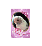 るぅこ王子可愛いファミリー（個別スタンプ：5）