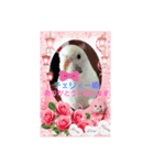 るぅこ王子可愛いファミリー（個別スタンプ：12）