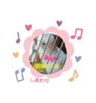るぅこ王子可愛いファミリー（個別スタンプ：14）
