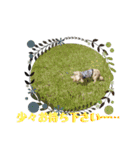 Mダックス★アン君のスタンプ4（個別スタンプ：29）