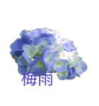 バラ気分（個別スタンプ：11）