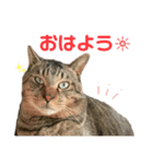 ゆーくん^._.^（個別スタンプ：5）