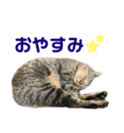 ゆーくん^._.^（個別スタンプ：6）