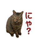 ゆーくん^._.^（個別スタンプ：12）