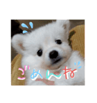 キナリのスタンプver.1（個別スタンプ：4）