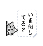 Grey striped cat！ Message stickers JP（個別スタンプ：13）