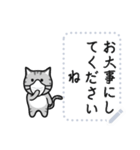 Grey striped cat！ Message stickers JP（個別スタンプ：23）