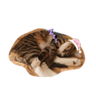 かわいいかわいいみみちゃん（個別スタンプ：3）