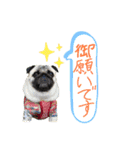 パグの諷太郎⭐︎第2段‼️（個別スタンプ：9）