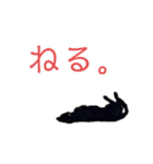 いとうけ。picaro（個別スタンプ：4）
