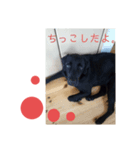 いとうけ。picaro（個別スタンプ：7）