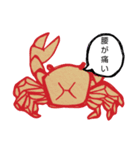 さわがに（個別スタンプ：3）