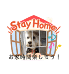 love-wanko（個別スタンプ：5）