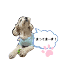 love-wanko（個別スタンプ：7）