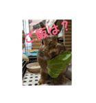 だいずうさぎ（個別スタンプ：6）