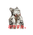 するめといっしょ（個別スタンプ：2）