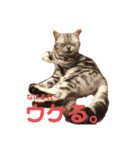 するめといっしょ（個別スタンプ：5）
