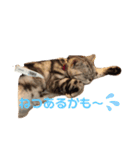 するめといっしょ（個別スタンプ：12）