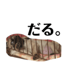 うちの愛犬だぞよ！（個別スタンプ：16）