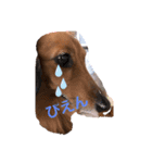 シュガーすたんぷ（個別スタンプ：8）