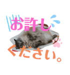 湯浅家のスタンプ6（個別スタンプ：3）