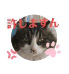 湯浅家のスタンプ6（個別スタンプ：4）